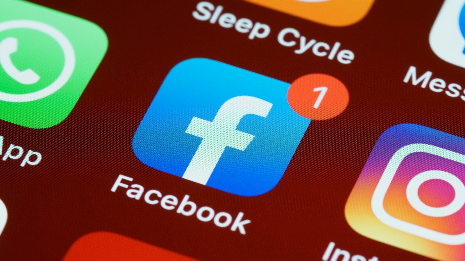 Instagram Ads vs Facebook Ads: which works better for your business?